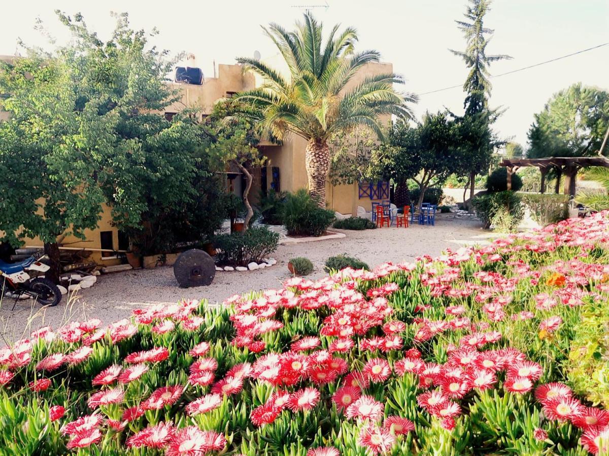 Vagia Beach Apartments, Aegina Island Camera foto